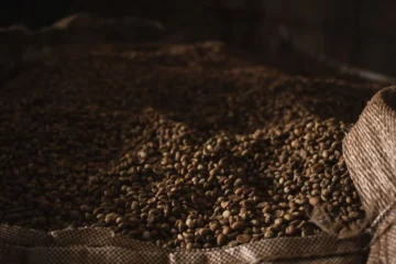 A Few Giants Control Most of the World’s Green Coffee Flow