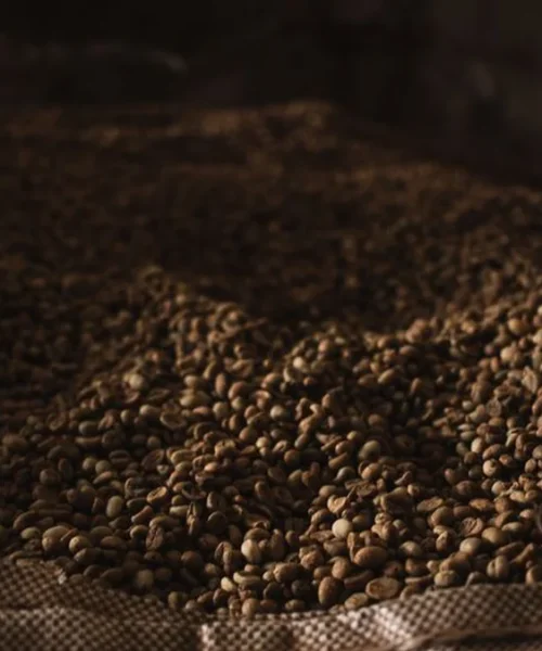 A Few Giants Control Most of the World’s Green Coffee Flow