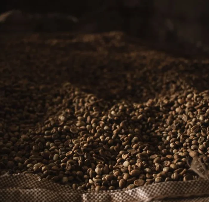 A Few Giants Control Most of the World’s Green Coffee Flow