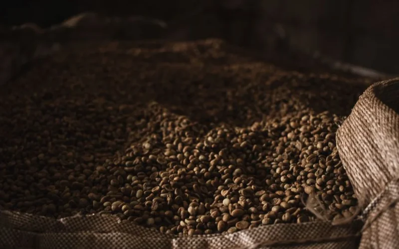 Large burlap sacks filled with raw green coffee beans in an industrial warehouse.