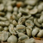 Overhead view of raw green coffee beans scattered across maritime shipping documents and logistics paperwork.