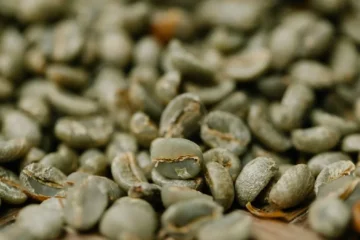 Hamburg Remains Europe’s Essential Coffee Gateway Despite Labor Unrest