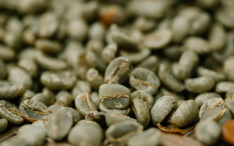 Overhead view of raw green coffee beans scattered across maritime shipping documents and logistics paperwork.