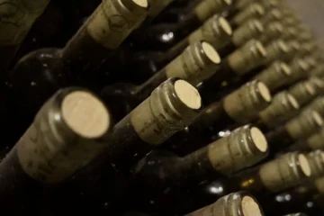 Heatwaves Are Redefining More Than Just Grape Ripening