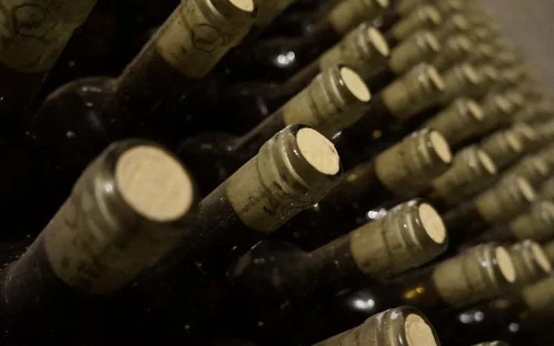 Wine bottles in a wooden crate positioned in a sunny vineyard during a heatwave.
