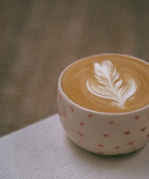 Hijau Coffee Brings Indonesian Heritage to San Jose