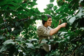 Kenyan Farmer Training Bridges Science and Field Knowledge
