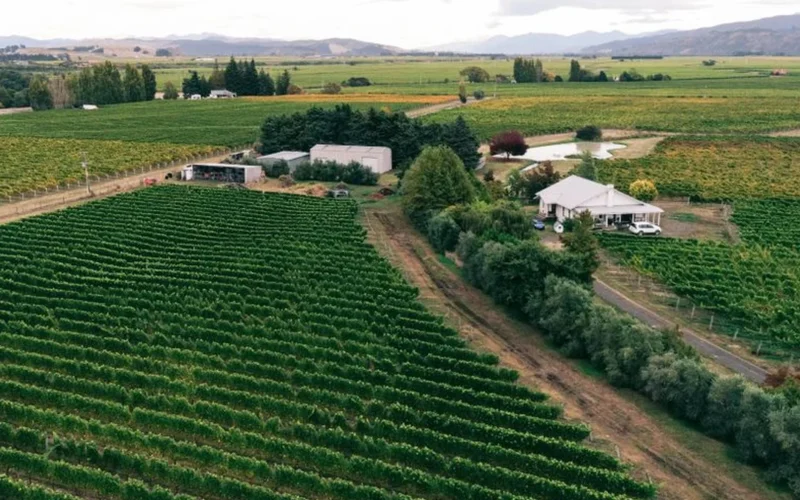 A bottle and glass of red wine overlooking lush Napa Valley grape vineyards at sunset.