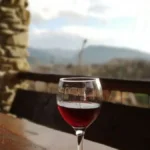 A glass of dark red wine overlooking the Ningxia vineyard and Helan Mountains.
