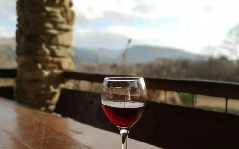 Marselan and Desert Climates Define Ningxia’s New Winemaking Era