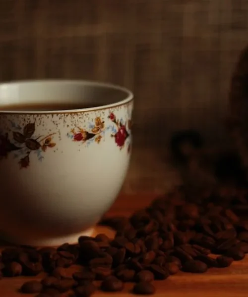 Pact Coffees Sets New Price Record for Congolese Specialty Coffee
