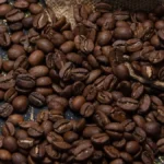 Roasted Arabica coffee beans being poured into a sack near brewing equipment.