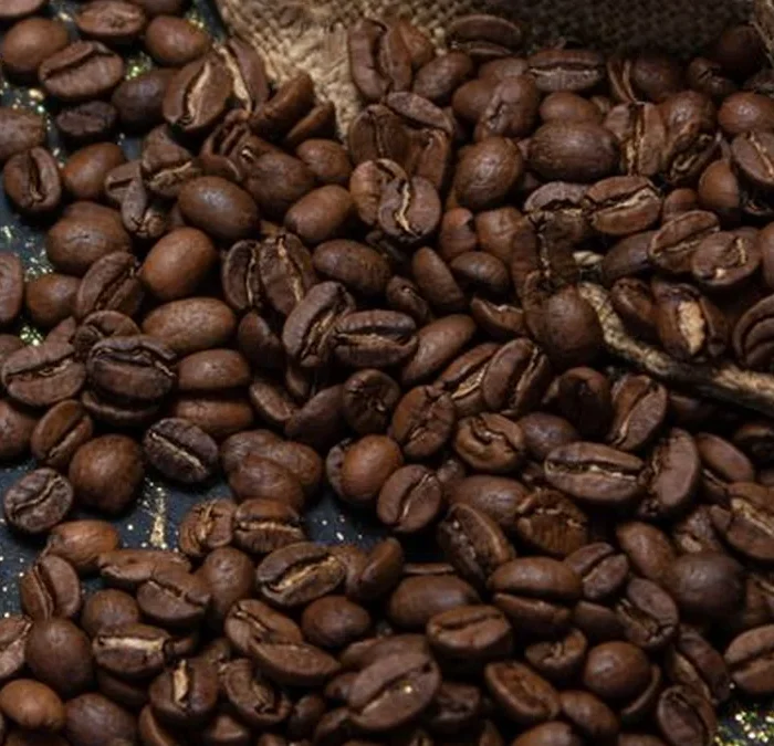 Shanghai’s Shifting Market Increases Global Competition for Specialty Coffee