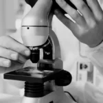 A glass of red wine next to a microscope representing the scientific study of yeast.
