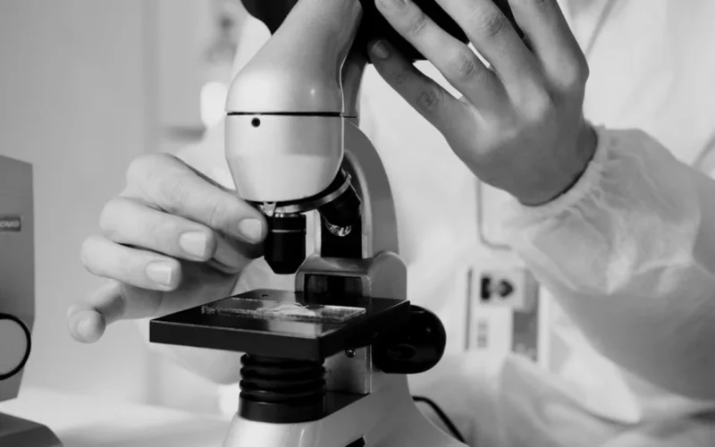 A glass of red wine next to a microscope representing the scientific study of yeast.