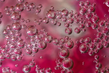 South American Sparkling Wines Are Breaking New Ground