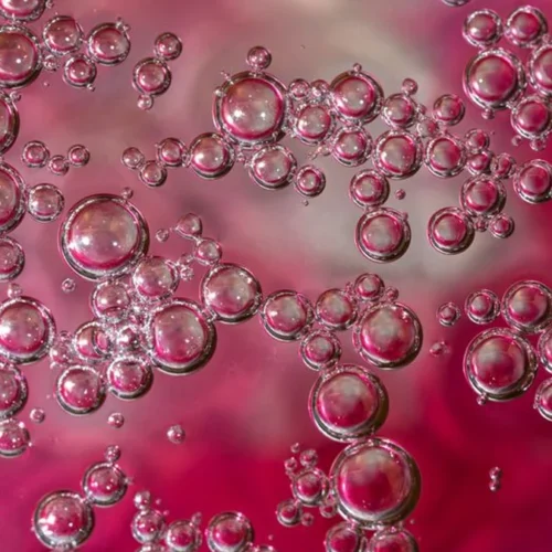 South American Sparkling Wines Are Breaking New Ground