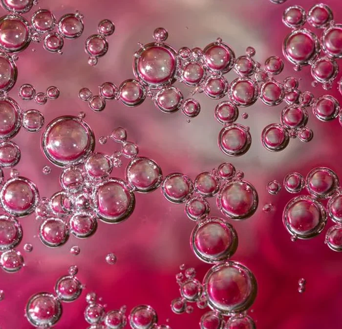 South American Sparkling Wines Are Breaking New Ground