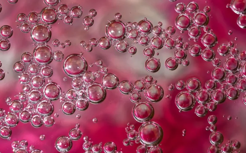 Macro close-up of rising bubbles and condensation on a chilled glass of sparkling wine.