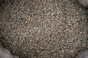 Supply Crises Drive Global Coffee Price Surge