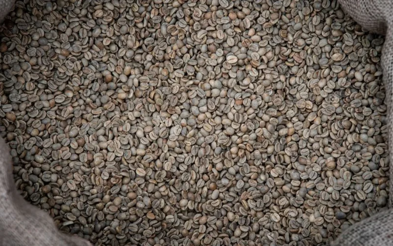 Raw green Arabica coffee beans spilling from a burlap sack on a dark wooden table.