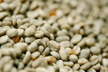 Supply Fears Drive Sharpest Coffee Price Rally Since 2021