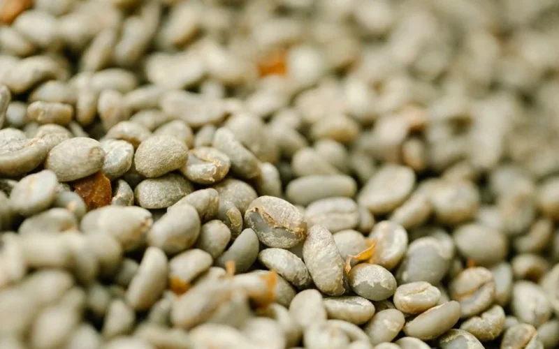 Raw green Arabica coffee beans spilling from a burlap sack on a wooden table.