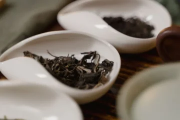 Toyo University Students Bridge Tea Cultures via Tokyo Tourism Expo