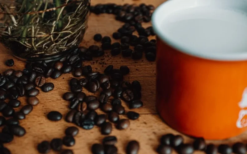 Clear water in a glass beaker next to roasted coffee beans on a dark surface.
