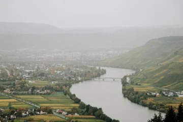 Wildfire smoke bypasses Bordeaux vineyards but threatens the 2026 vintage