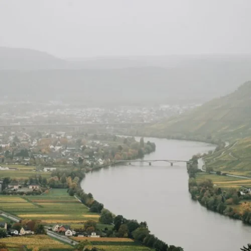 Wildfire smoke bypasses Bordeaux vineyards but threatens the 2026 vintage