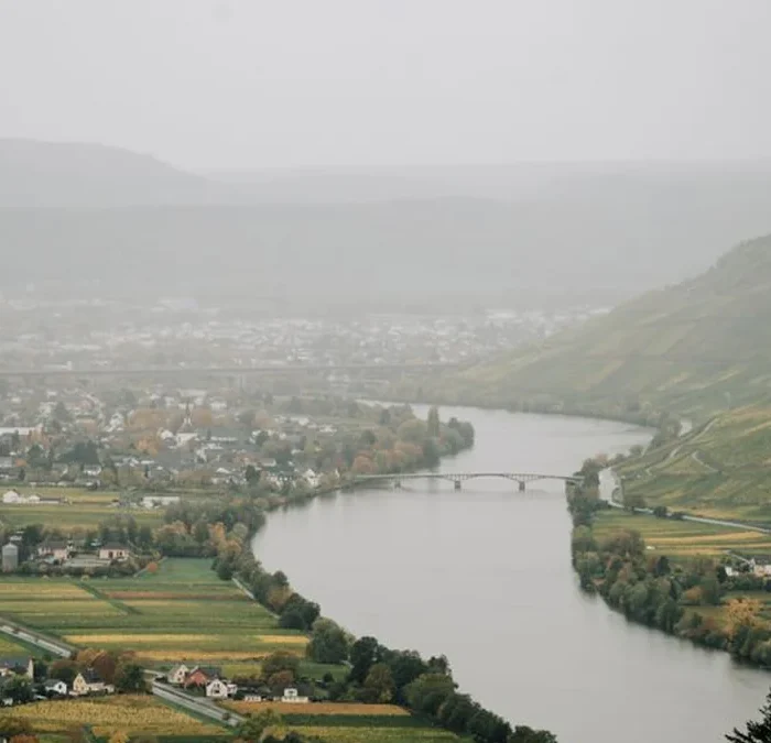 Wildfire smoke bypasses Bordeaux vineyards but threatens the 2026 vintage