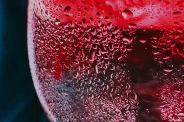 California Wineries Secure Spots in USA Today Tasting Room Rankings