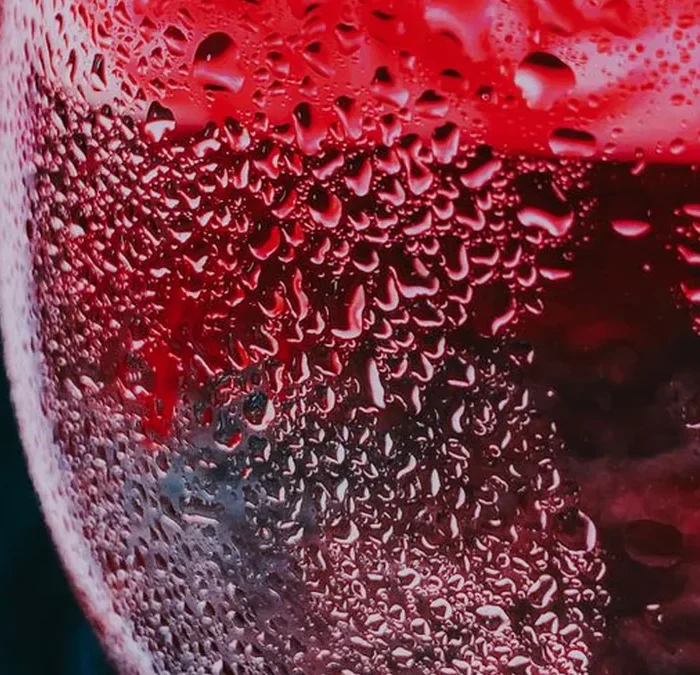 California Wineries Secure Spots in USA Today Tasting Room Rankings