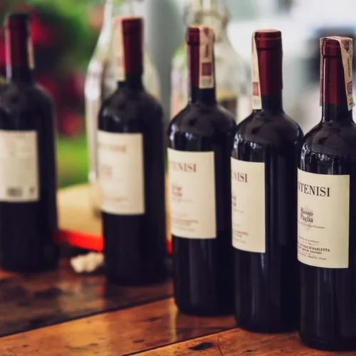 Cooperative excellence through Cantina Terlano and Produttori del Barbaresco