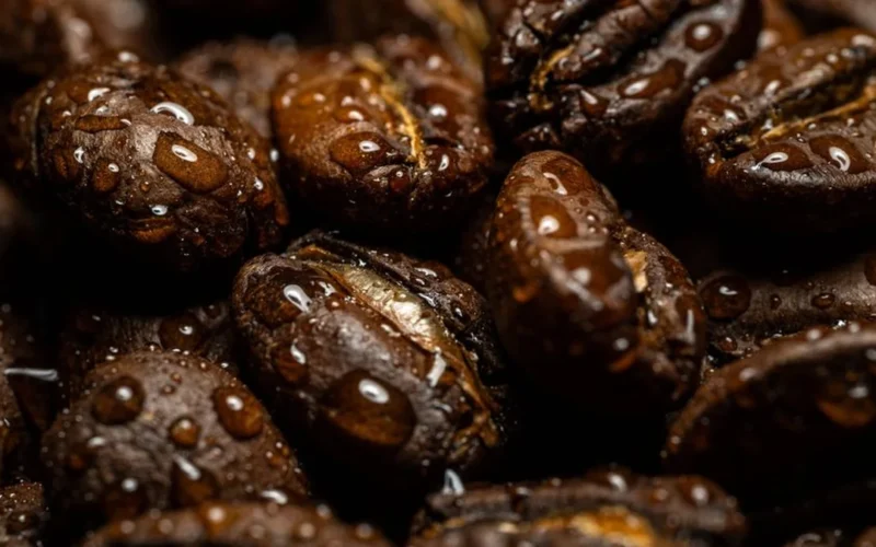 Macro close-up of textured dark roasted coffee beans with oily surfaces.