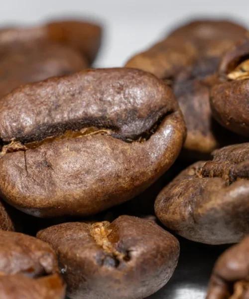 Indian specialty coffee finds a vibrant new home in Goa