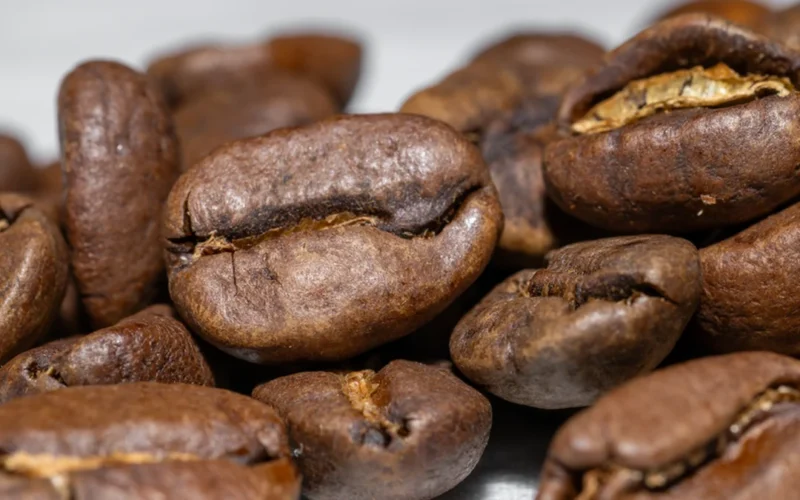 Macro close-up of dark roasted specialty coffee beans showing rich texture and oily surface.