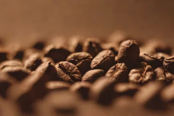 La Mulita Connects Colombian Roots to New Hampshire Seacoast
