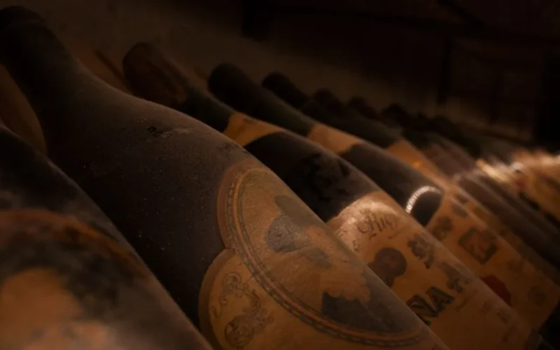 Close-up macro shot of a luxury wine bottle label with embossed gold text.