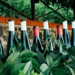 White wine bottles and green grapes on a stone ledge in a Sancerre vineyard.