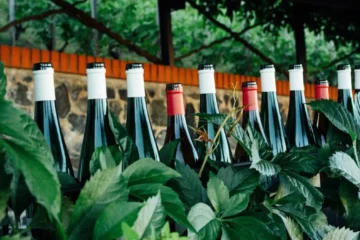 Pascal Jolivet Navigates a Rich, Unconventional Sancerre Vintage