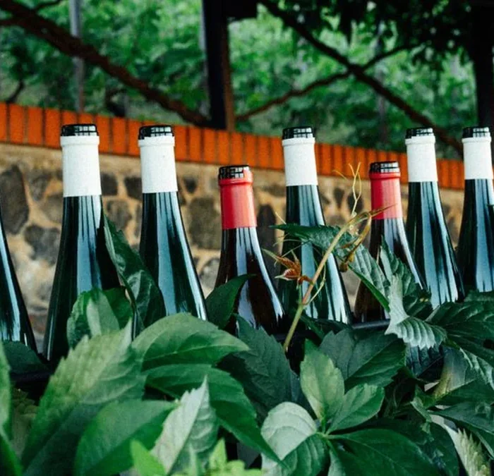 Pascal Jolivet Navigates a Rich, Unconventional Sancerre Vintage