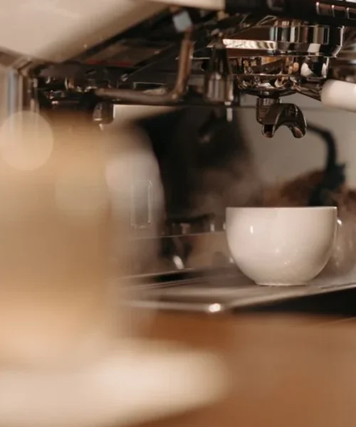 Provis Coffee Roasters Debuts Literary-Inspired Space in North Kansas City