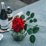 A bottle of Pinot Noir and a glass on wet stones with green forest moss.