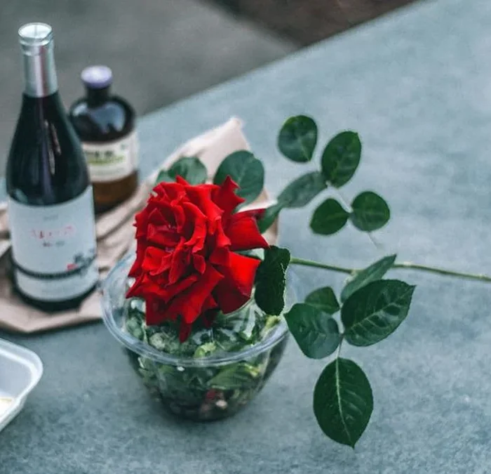 Rose & Arrow Red Label Pinot Noir Brings Oregon Earthiness