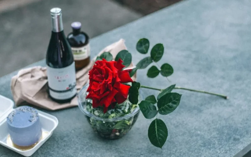 A bottle of Pinot Noir and a glass on wet stones with green forest moss.