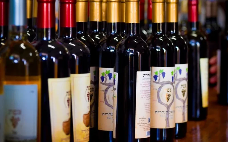 Red and white wine bottles resting on a stone ledge with a vineyard background.