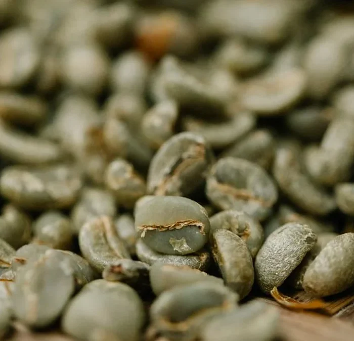 Starbucks Rejects Chipotle Merger Amidst Declining Colombian Output