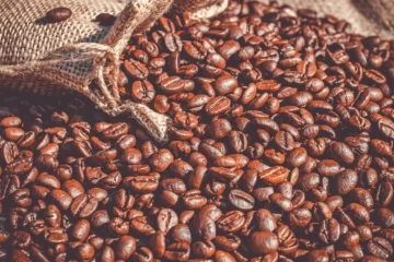 UN Launches Inaugural International Coffee Day to Honor Global Producers